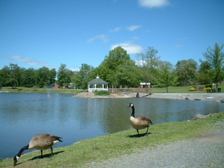 Cornwall Releases Music in the Park Schedule