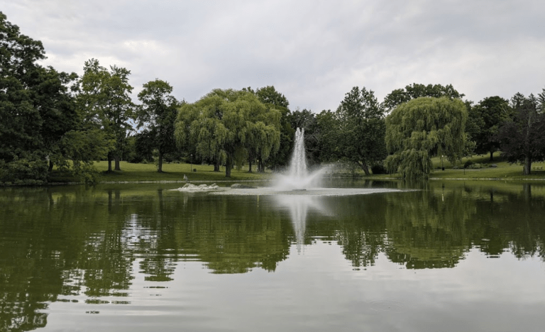 Celebration to be Held at Downing Park