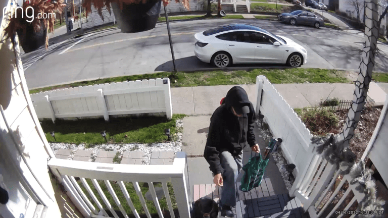 Easter Crook Steals Package in Broad Daylight