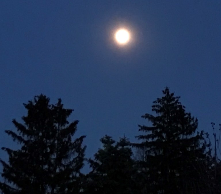 Glimpse of Annual “Pink Moon” Last Night