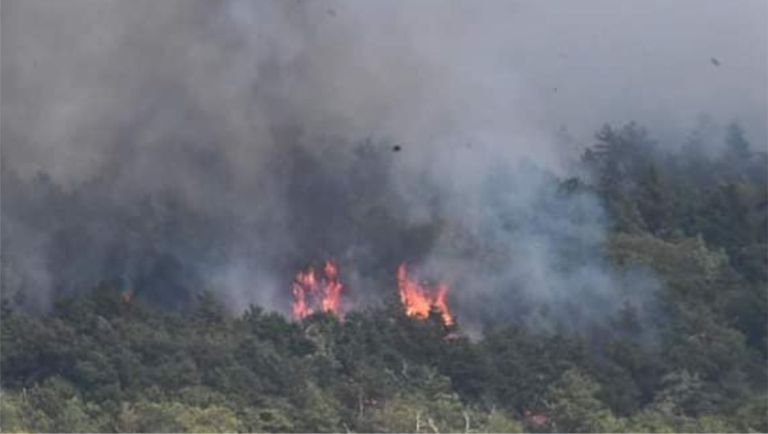 National Guard, Canadian Firefighters Descend on Minnewaska Wildfires