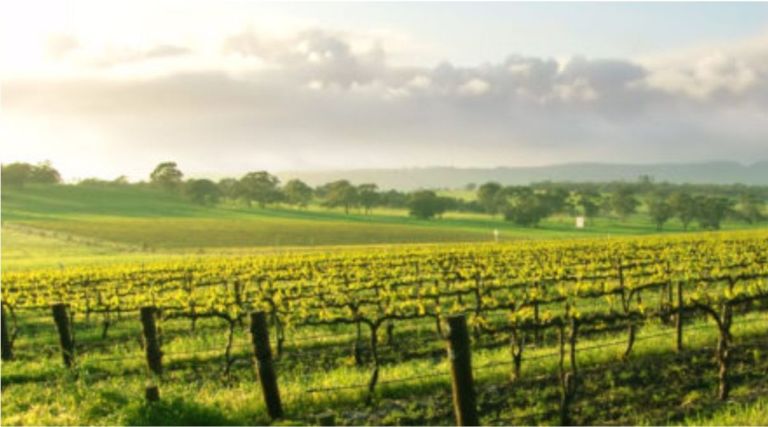 Democrats, Republicans Issue Scathing Letter to Industrial Development Agency