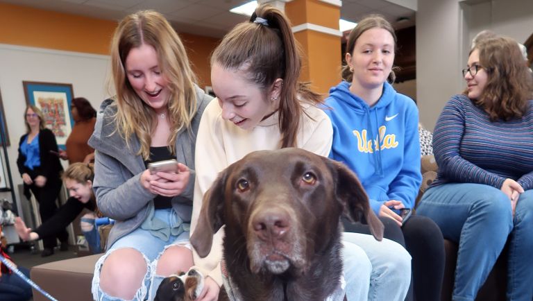 Halloween Hounds Delight MSMC Students During Midterms