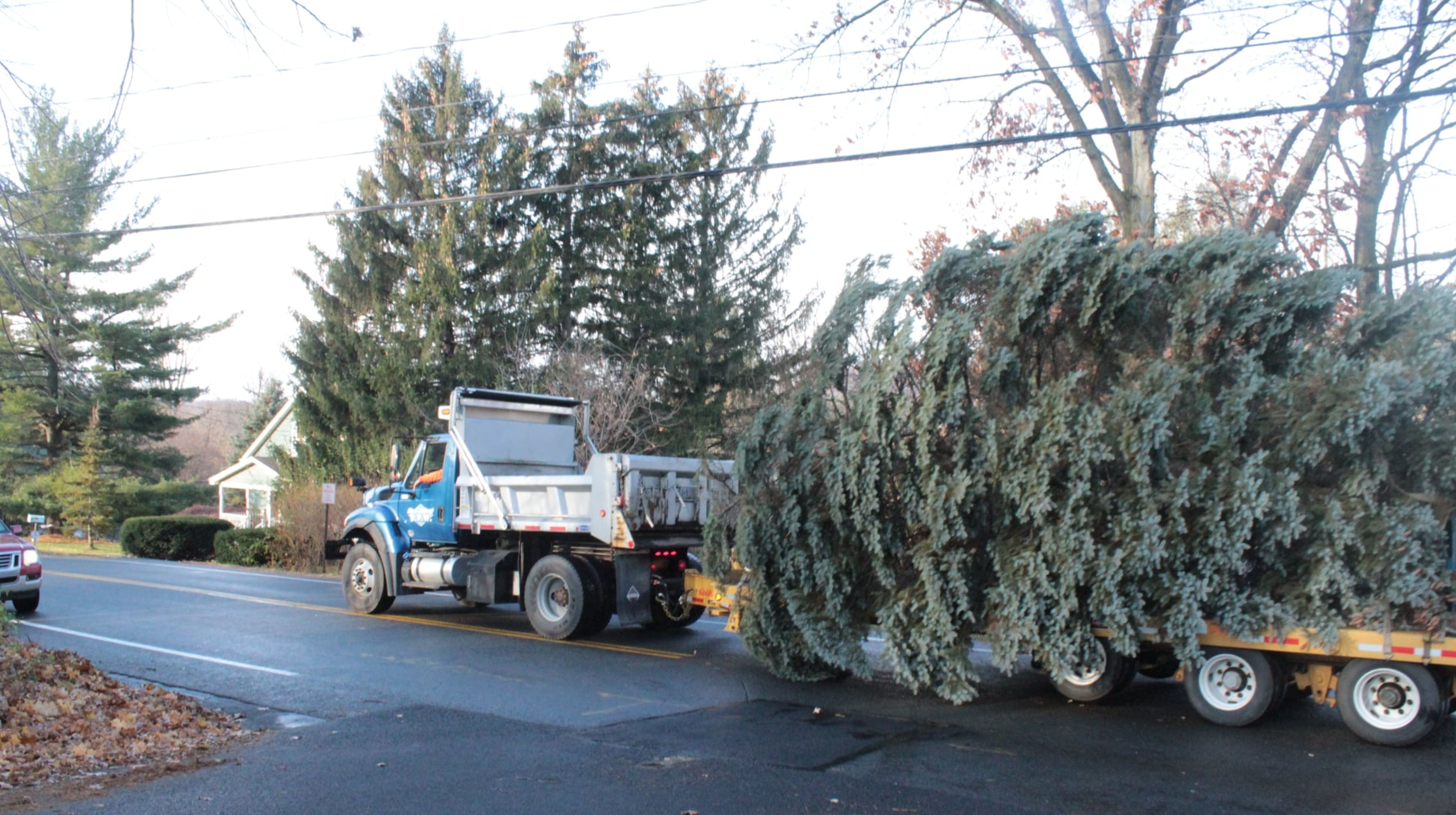 City of Newburgh Seeks Christmas Tree The Newburgh News, LLC