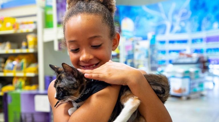 New State Law to Ban Stores from Selling Dogs, Cats, Rabbits