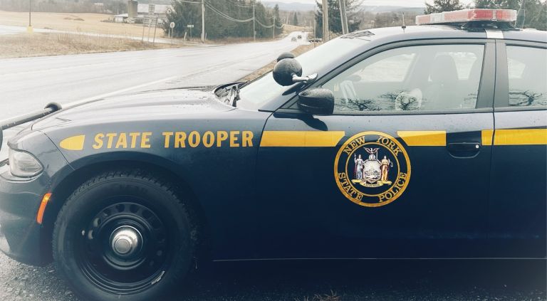 Lunatic Attempts to Strangle NY State Trooper in Greene County