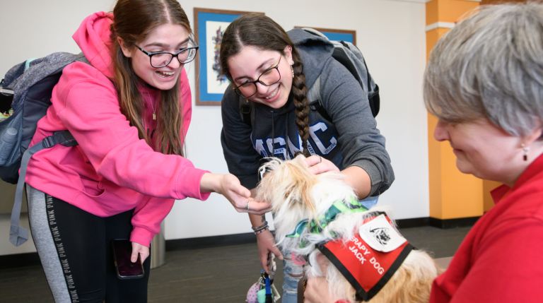 Therapy Dogs Give MSMC Students a Chance to “Paws” and Relax