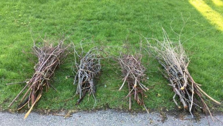 Town of Newburgh to Pickup Brush, Leaves from Homes